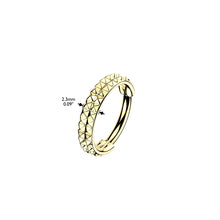 Load image into Gallery viewer, Titanium Hinged Segment Hoop Ring With Double Lined Outward Facing Pyramid Cuts 16ga-20ga