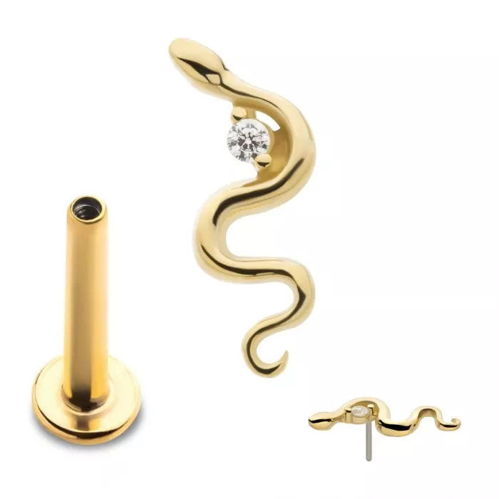 Initial Piercing - 14k Snake top 24kt gold plated titanium labret