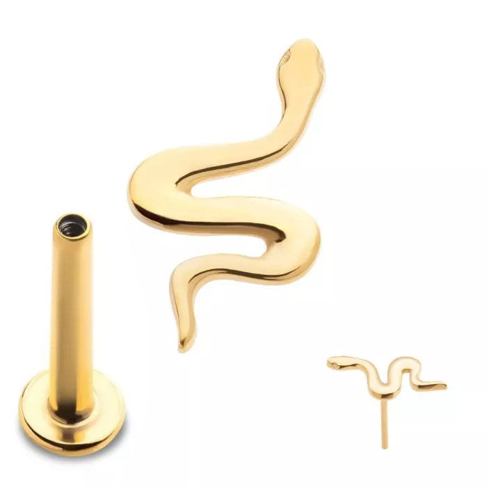 Initial Piercing - 24k Gold Titanium Snake Labret