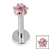Load image into Gallery viewer, Ti labret - Internal thread assorted star
