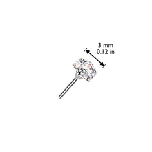 Load image into Gallery viewer, Implant Grade Titanium Threadless Push In Prong Set Heart CZ Labret

