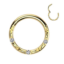 Load image into Gallery viewer, Titanium Hinged Segment Hoop Ring With CNC Set CZ and Faceted Cuts 1.2x10mm

