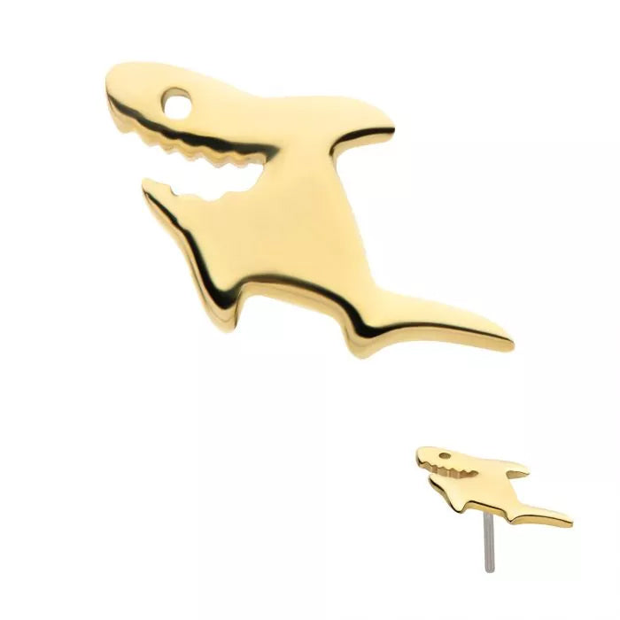 Initial Piercing - 14Kt Yellow Gold Threadless Shark Labret