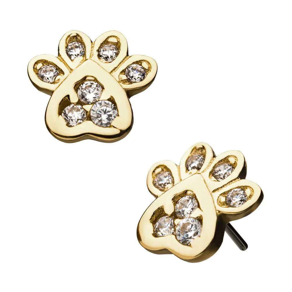 Initial Piercing - 14ct gold /CZ paw push fit top + 24k plated titanium bar
