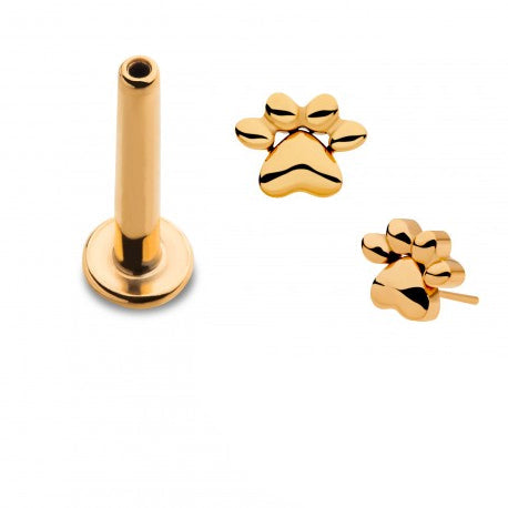 Initial Piercing - 24k gold plated paw Labret