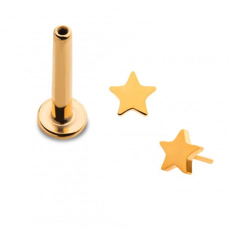 Initial Piercing - 24k gold plated Star Labret